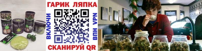 Cannafood конопля  Волоколамск 
