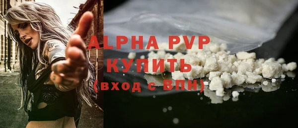 прущие грибы Болохово