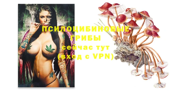 первитин Осинники