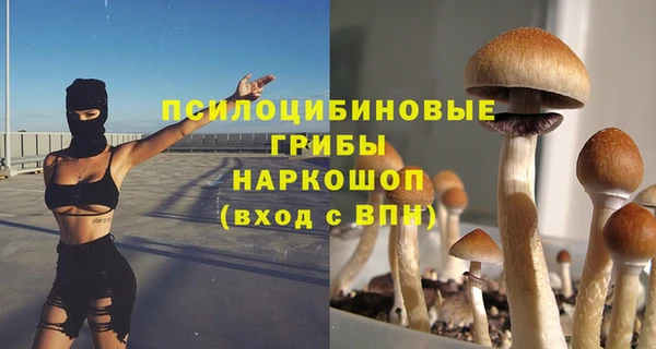 прущая мука Шарыпово