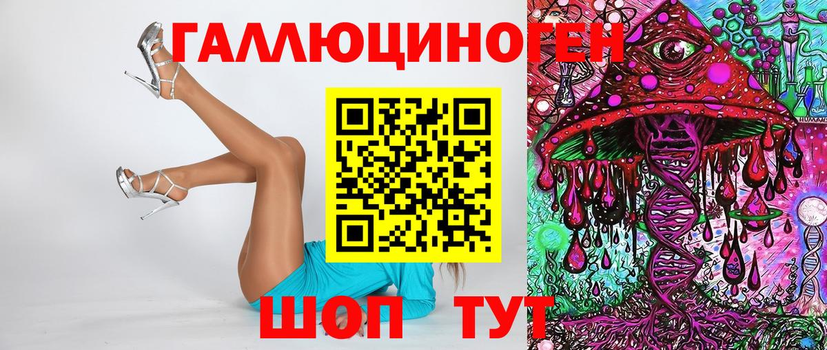 Псилоцибиновые грибы Psilocybine cubensis Волоколамск