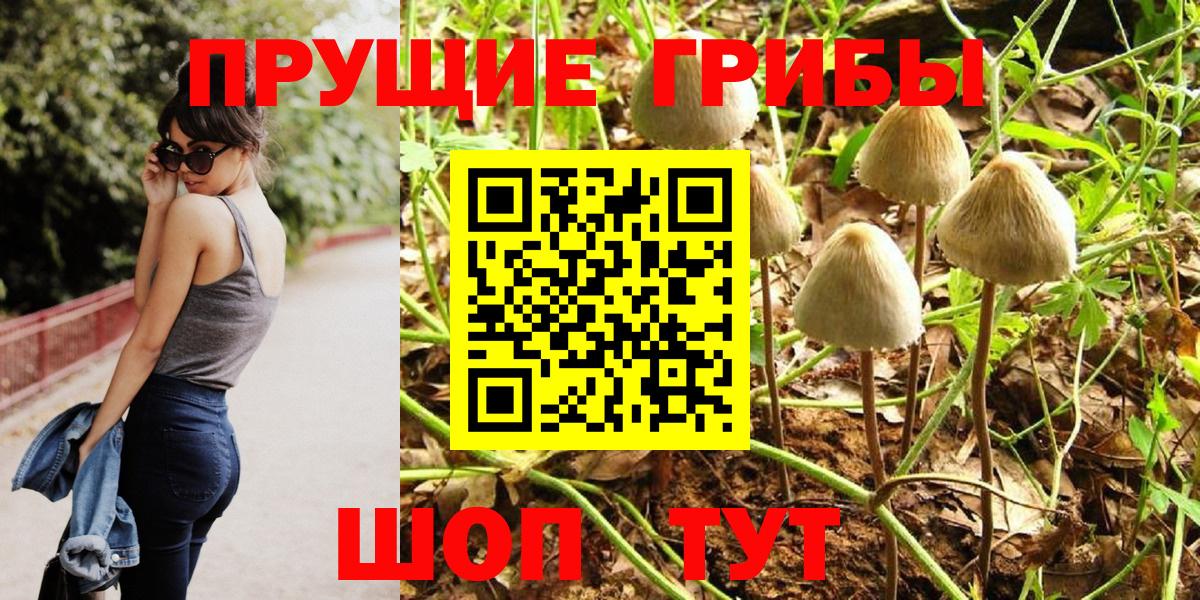 Псилоцибиновые грибы MAGIC MUSHROOMS  Вход с VPN  Волоколамск  Псилоцибиновые грибы Psilocybe 
