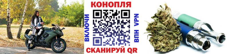 Бошки Шишки конопля Волоколамск